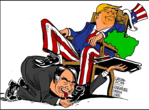 A Bolsanaro.png