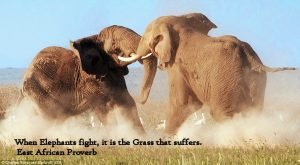 When Elephants fight, it is the Grass that suffers_ East African Proverb.jpg