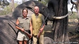 _59725485_elephant.jpg