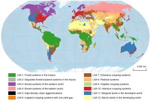 globalmappro.jpg
