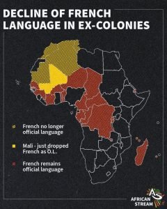Decline French language.jpg