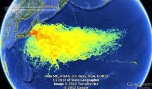Fukushima plume.jpg