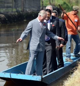 modern british barque.jpeg