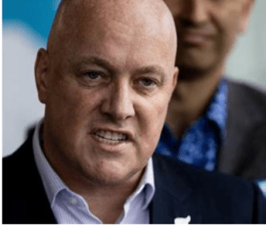 Screen Shot 2023-10-15 at 1.10.02 PM.png