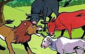 Lion-and-Bulls
