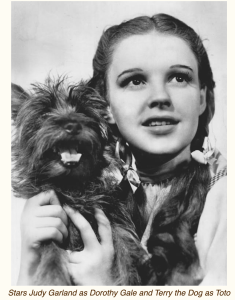 Screen-Shot-2023-12-11-at-9.24.53-PM