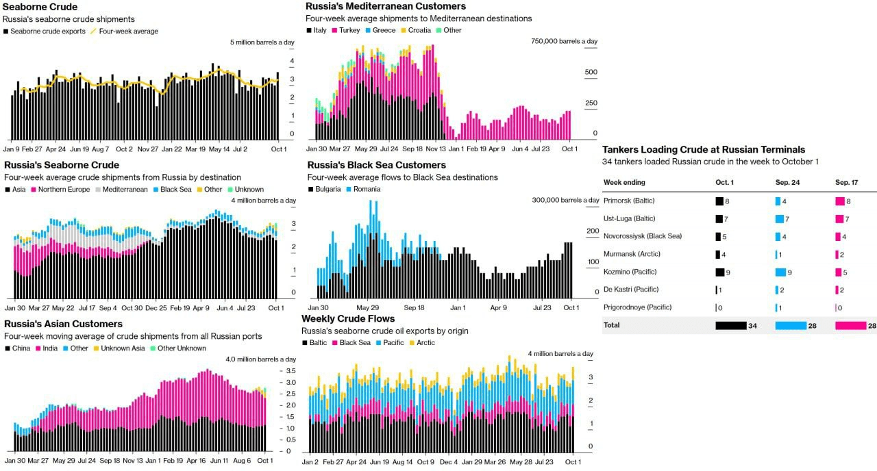 A close-up of several graphs

Description automatically generated