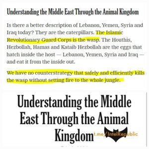 Friedman-Animal-Kingdom
