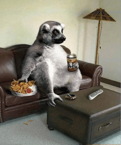 Screen-Shot-2024-05-07-at-6.46.08-PM